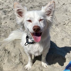 Meet your Posher, Zack